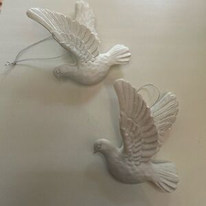 Charming White turtle doves